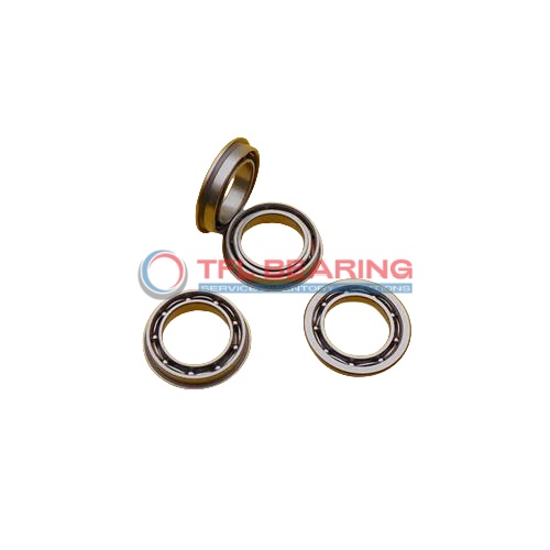 Flanged Deep Groove Ball Bearings D/W R1-5 R