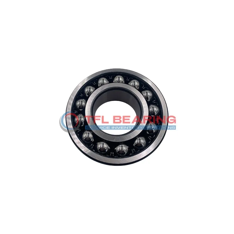 Self Aligning Ball Bearings 1319KJ