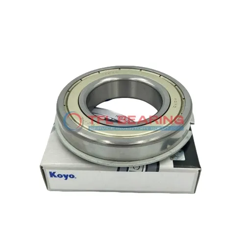 Snap Ring Groove Ball Bearings 216-ZNR