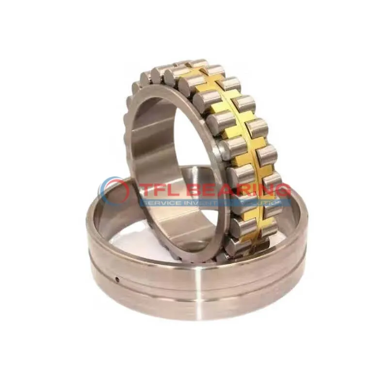 Double Row Super-Precision Cylindrical Roller Bearings NN 3036 K/SPW33