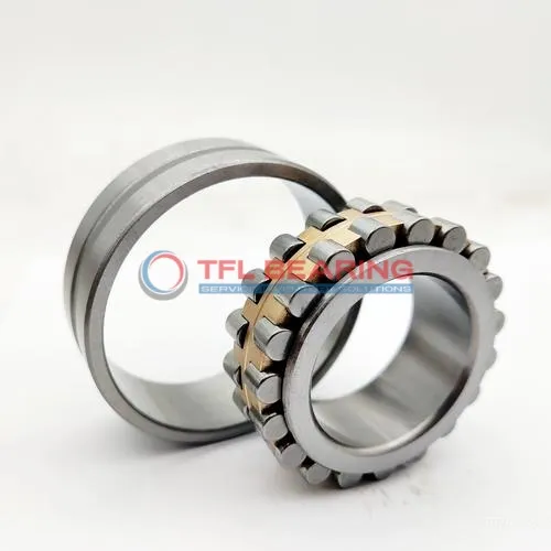 Double Row Super-Precision Cylindrical Roller Bearings NN 3036 K/W33VL124