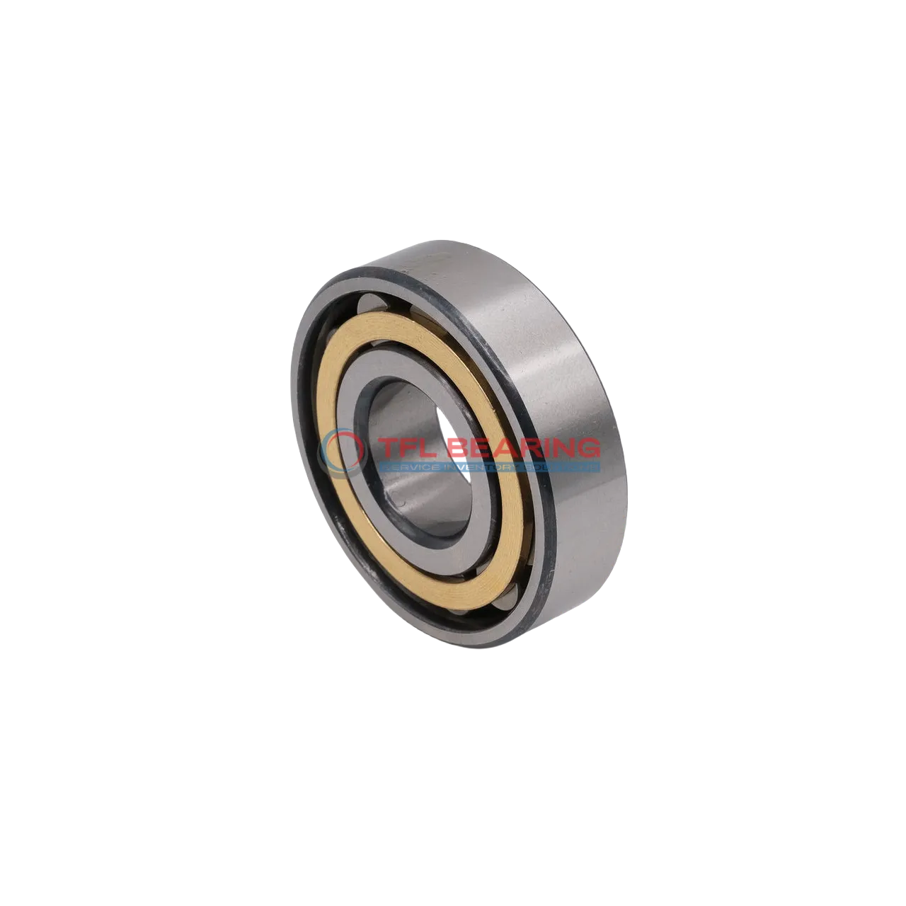 Single Row Cylindrical Roller Bearings With Inner Ring 319161
