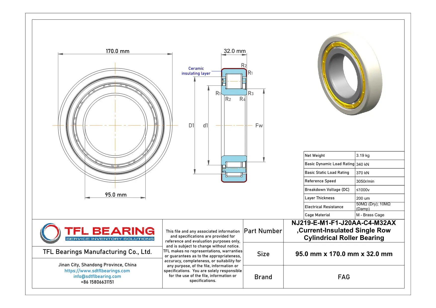 FAG Current-Insulated Single Row Cylindrical Roller Bearing NJ219-E-M1-F1-J20AA-C4-M32AX Drawing.dwg