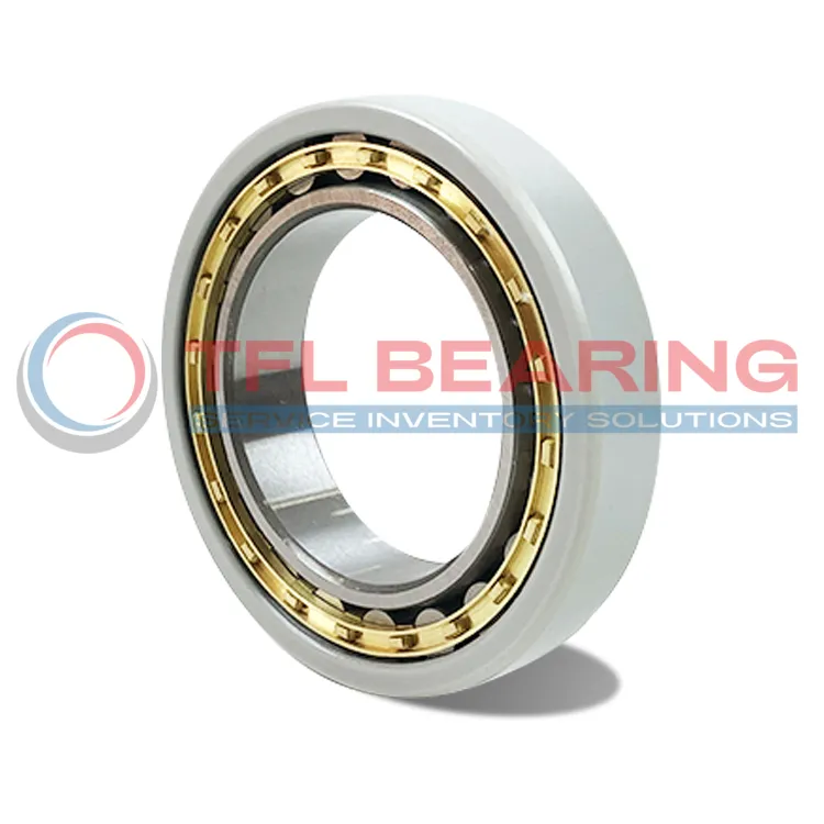 FAG Current-Insulated Single Row Cylindrical Roller Bearing NU1014-M1-F1-J20AA-C4