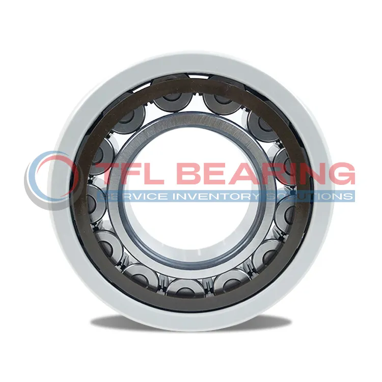 FAG Current-Insulated Single Row Cylindrical Roller Bearing NUB220-E-XL-TVP2-F1-J20AA-C4-M32IX