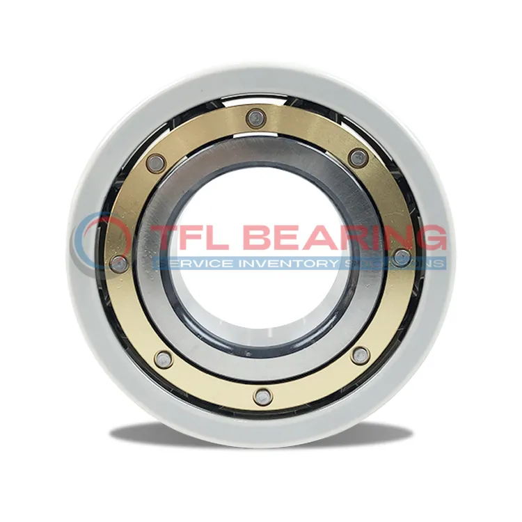 FAG Current-Insulated Bearings 6313M-J20AA-C4